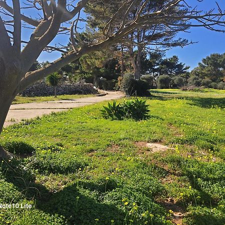 Sogni Nel Blu Favignana Vila Exterior foto