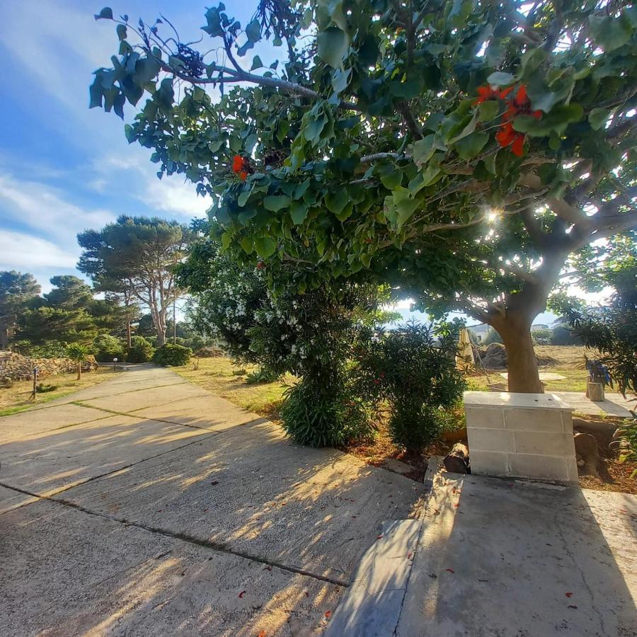 Sogni Nel Blu Favignana Vila Exterior foto