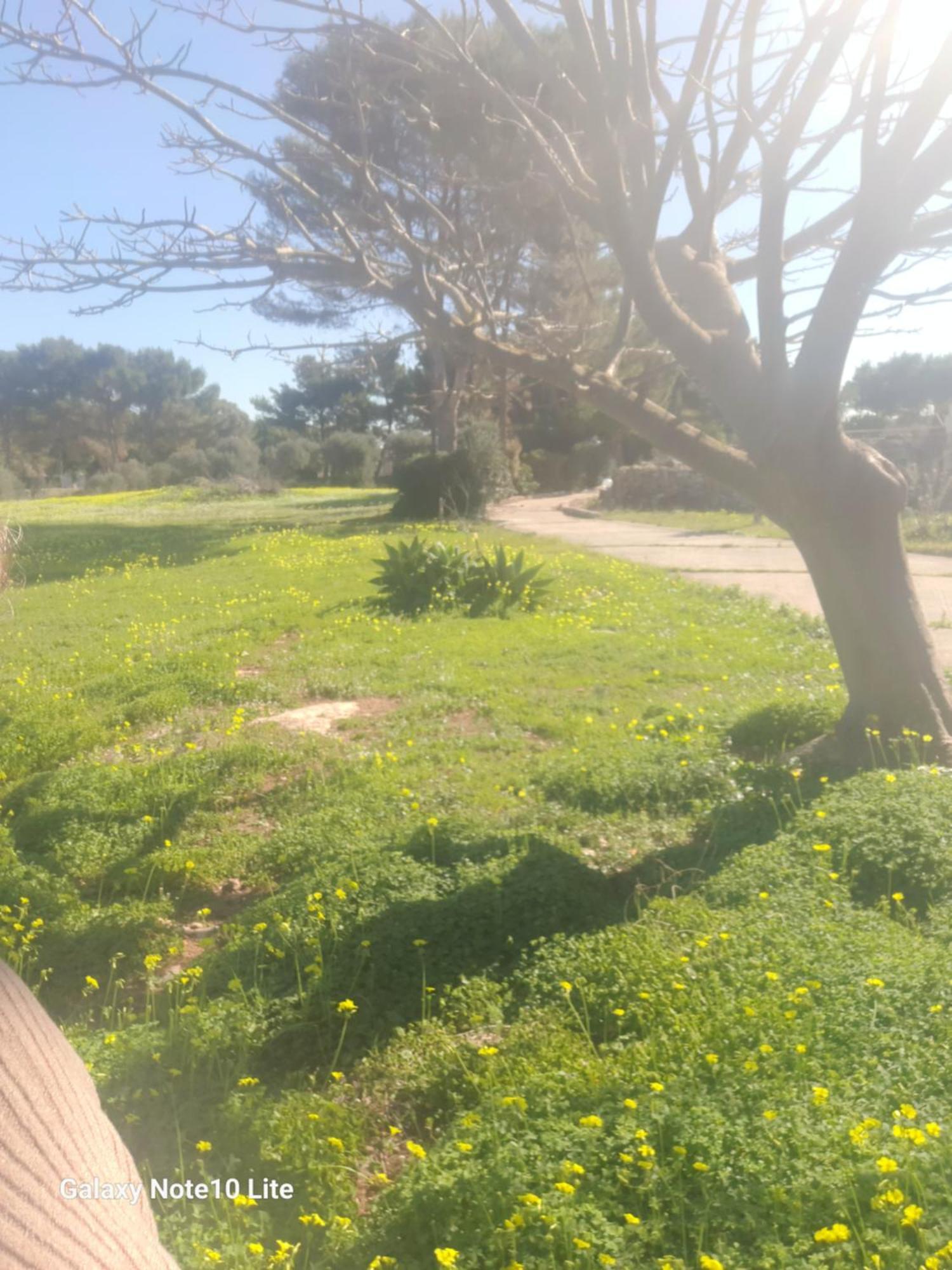 Sogni Nel Blu Favignana Vila Exterior foto