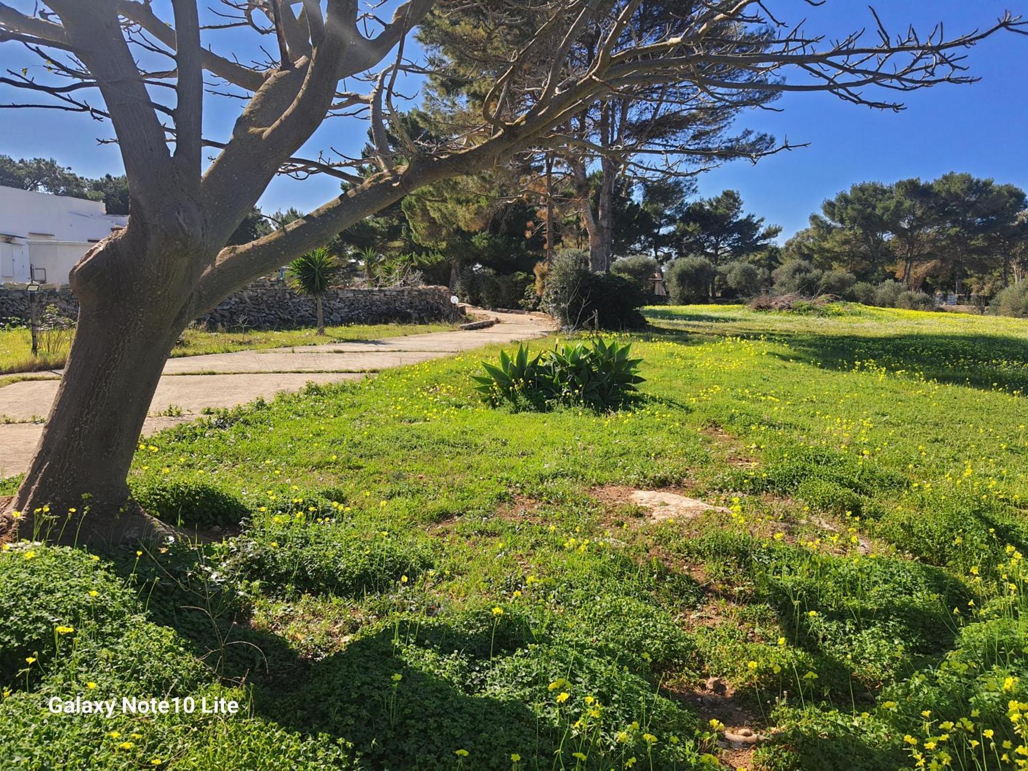 Sogni Nel Blu Favignana Vila Exterior foto