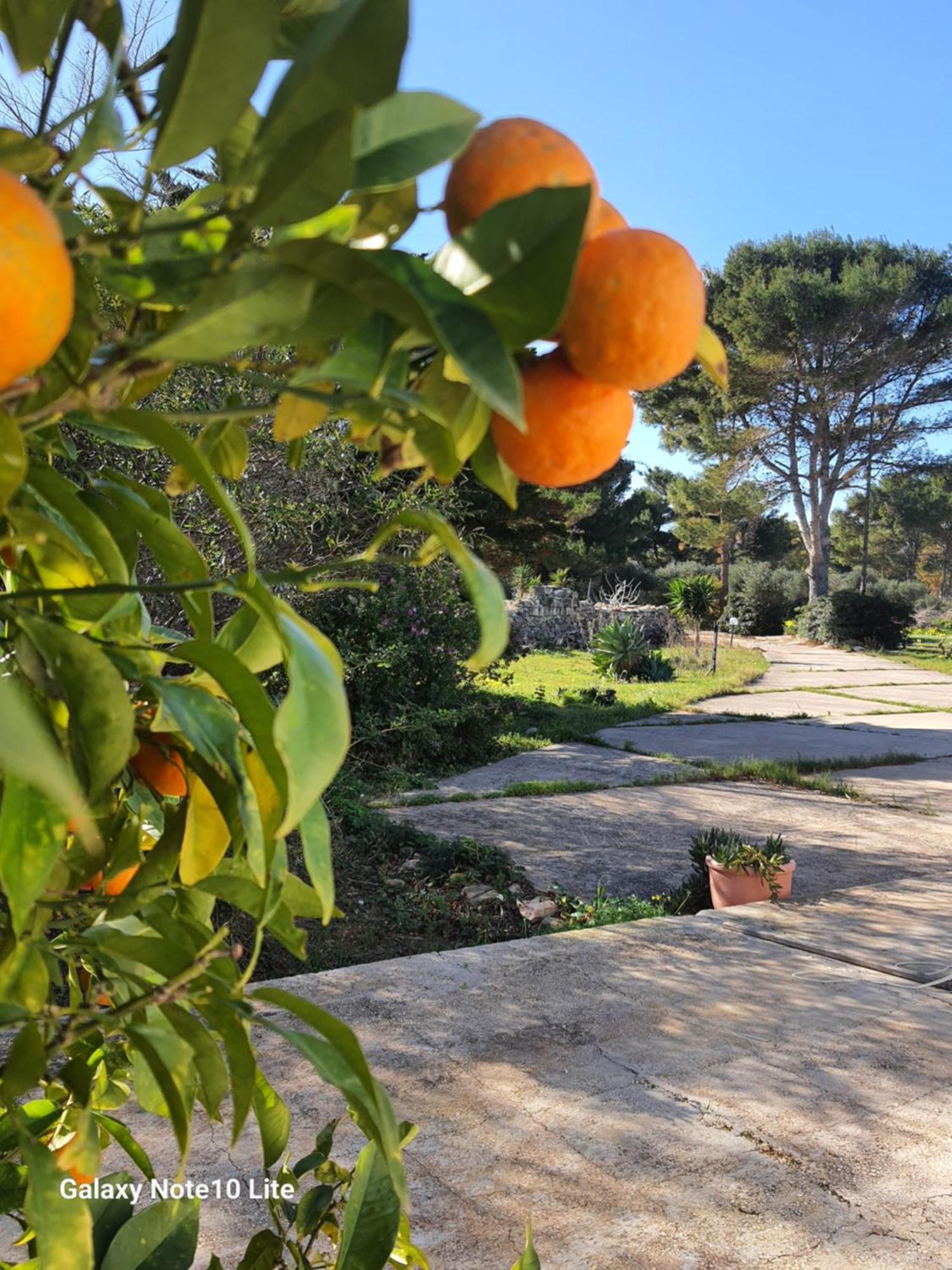 Sogni Nel Blu Favignana Vila Exterior foto