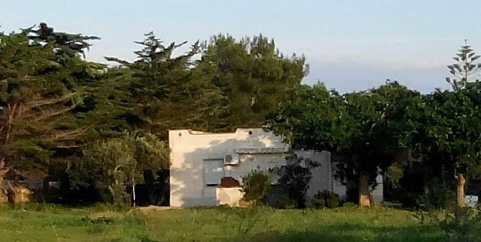 Sogni Nel Blu Favignana Vila Exterior foto